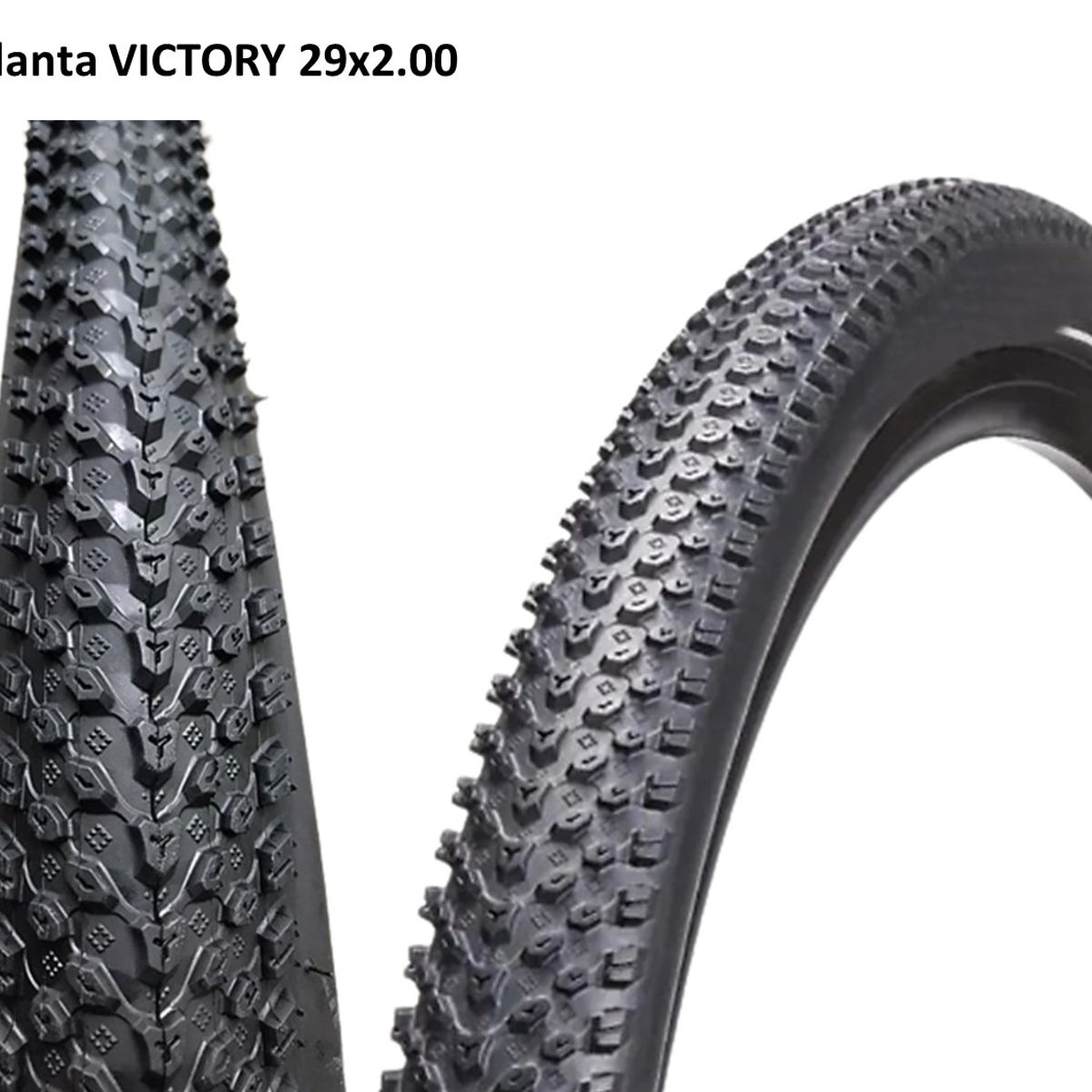 CHAOYANG - Llanta + Neumático Chaoyang 29 X 2.0 Bicicleta Mtb Combo