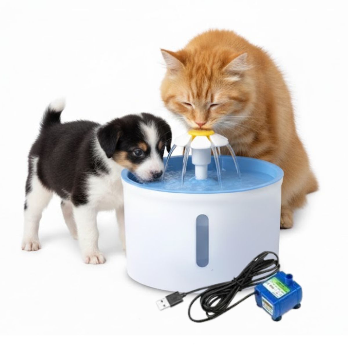 SUBE - Fuente agua purificadora con filtro mascotas 16LT azul