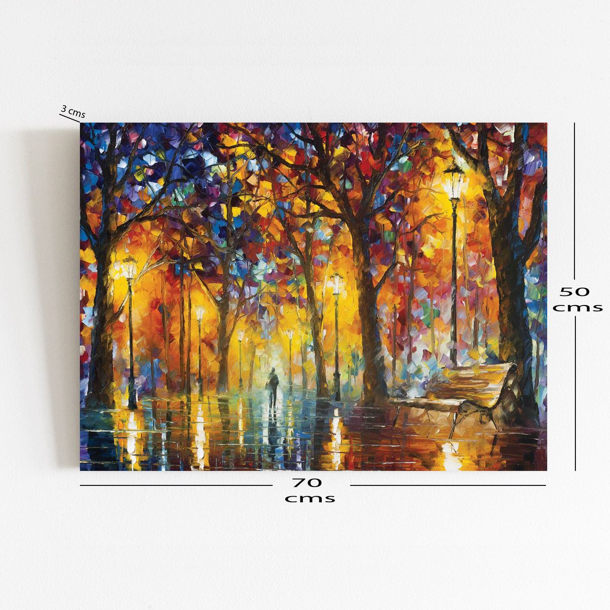 ART INDUSTRY - Cuadro 70x50 Cms Decorativo Camino 6