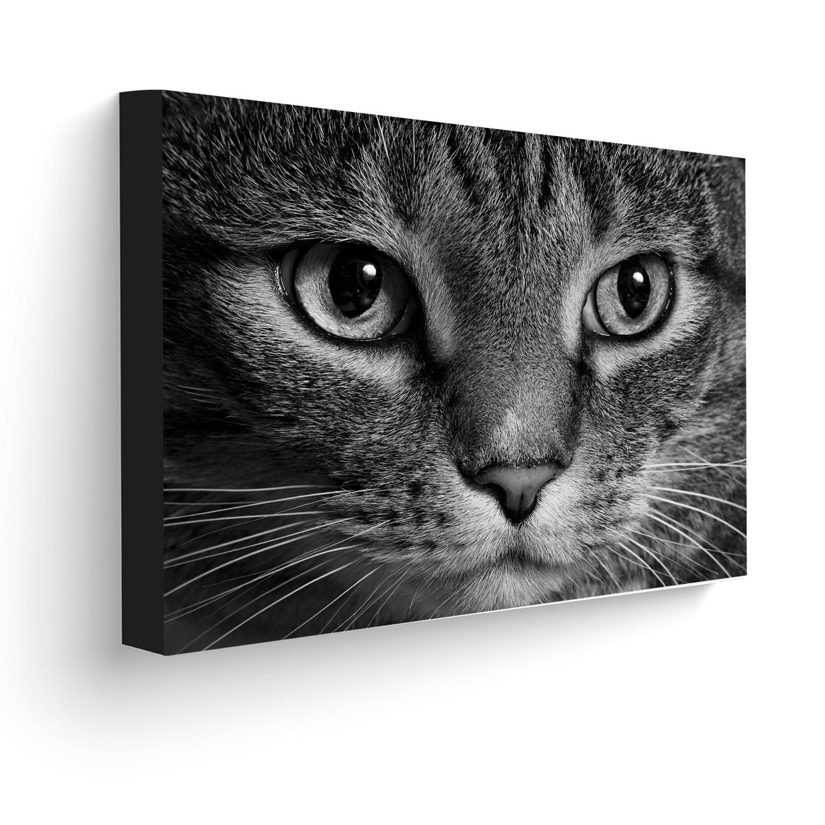 ART INDUSTRY - Cuadro 70x50 Cms Decorativo Gato 1