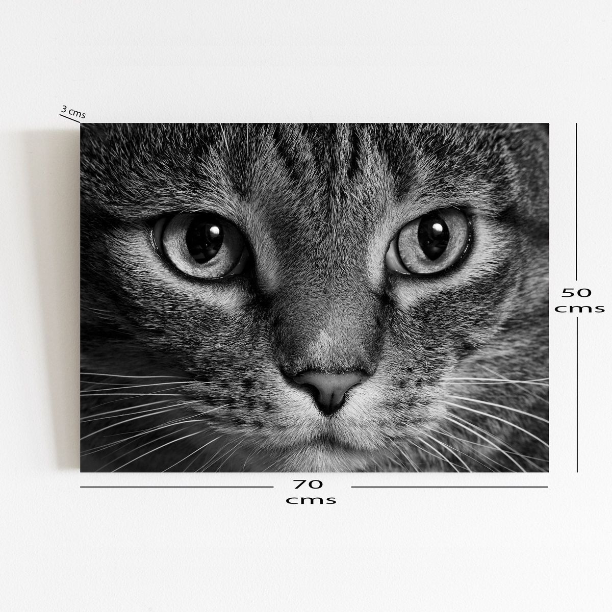 ART INDUSTRY - Cuadro 70x50 Cms Decorativo Gato 1
