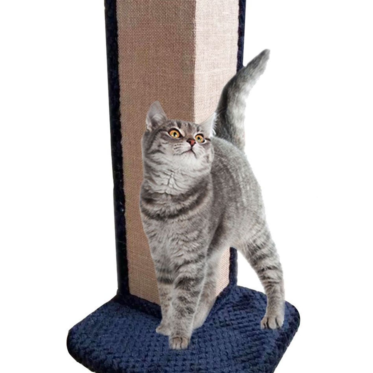 MAOS - RASCADOR RECTANGULAR - PETROLIO