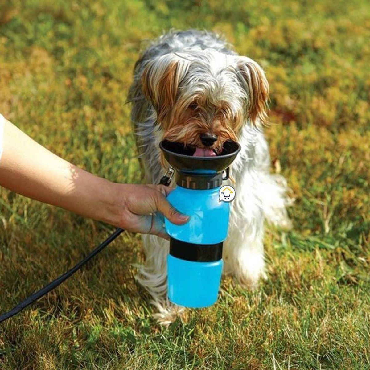 COMPRALOENCASA COM - Bebedero agua portátil mascotas dispensador termo rf 0015