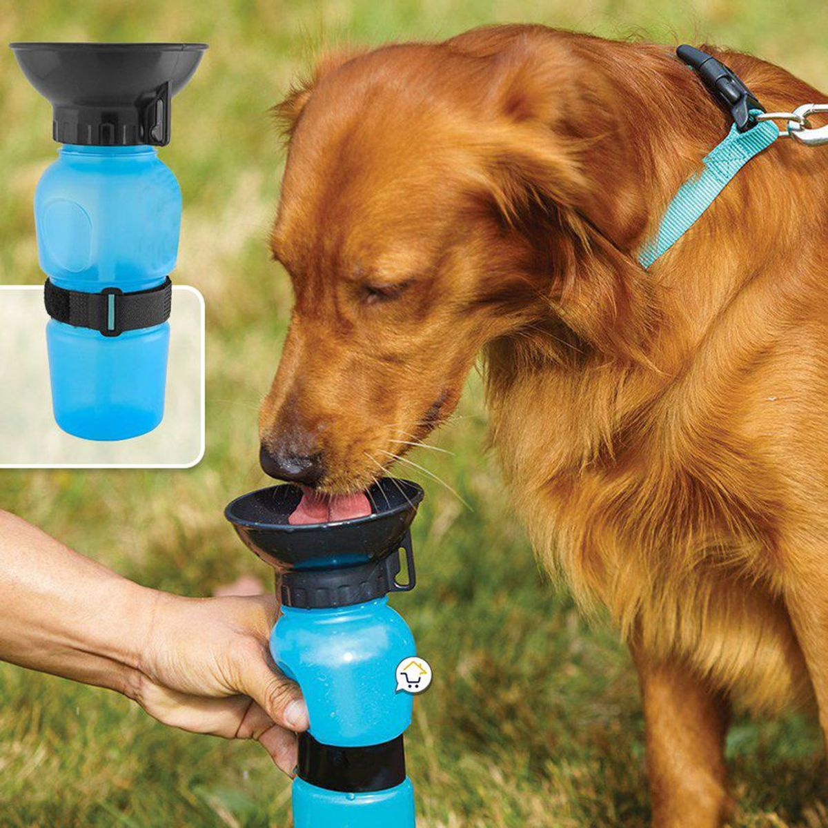 COMPRALOENCASA COM - Bebedero agua portátil mascotas dispensador termo rf 0015