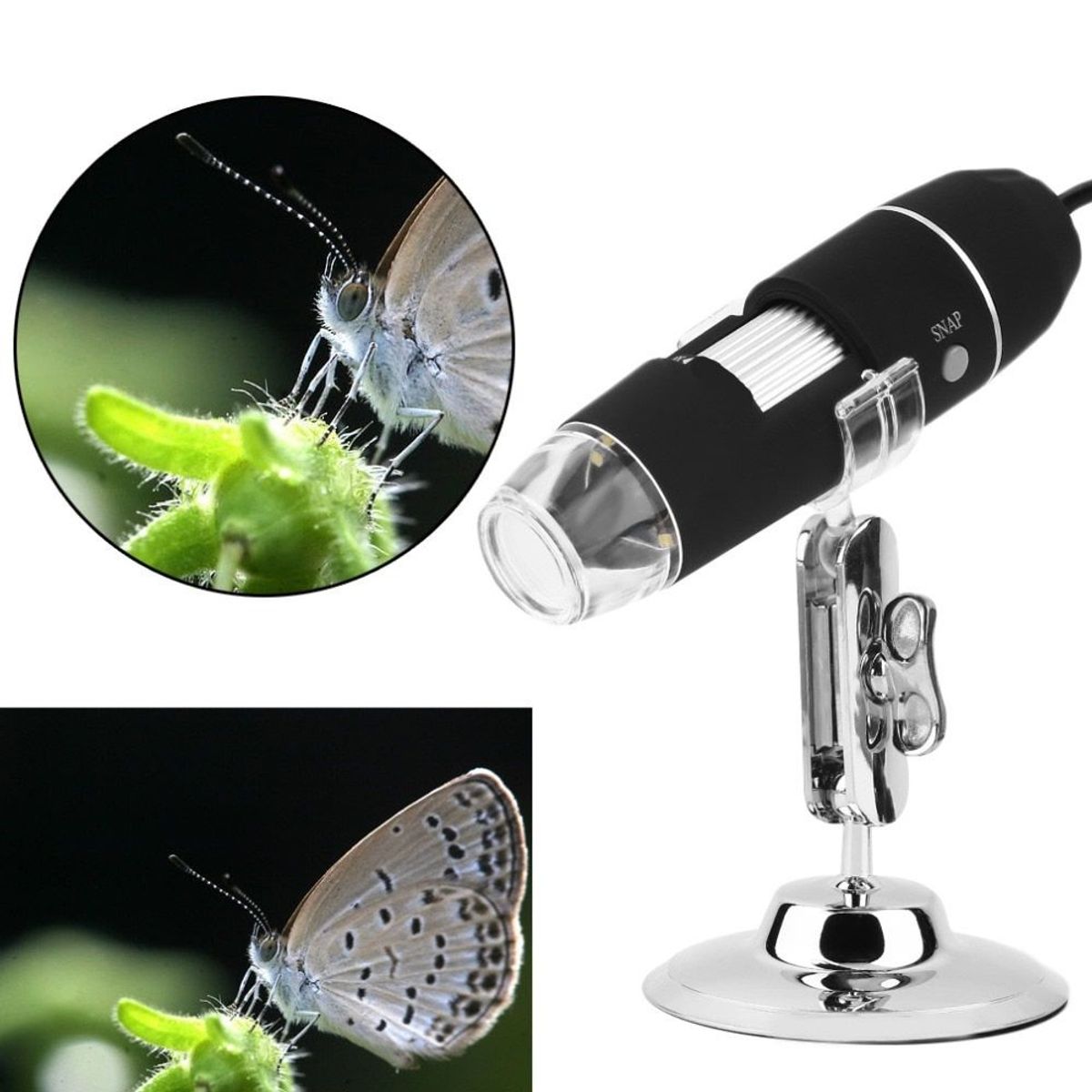 GENERICO - Capilografo Microscopio Usb Digital 1600x 8 Led Electronico.