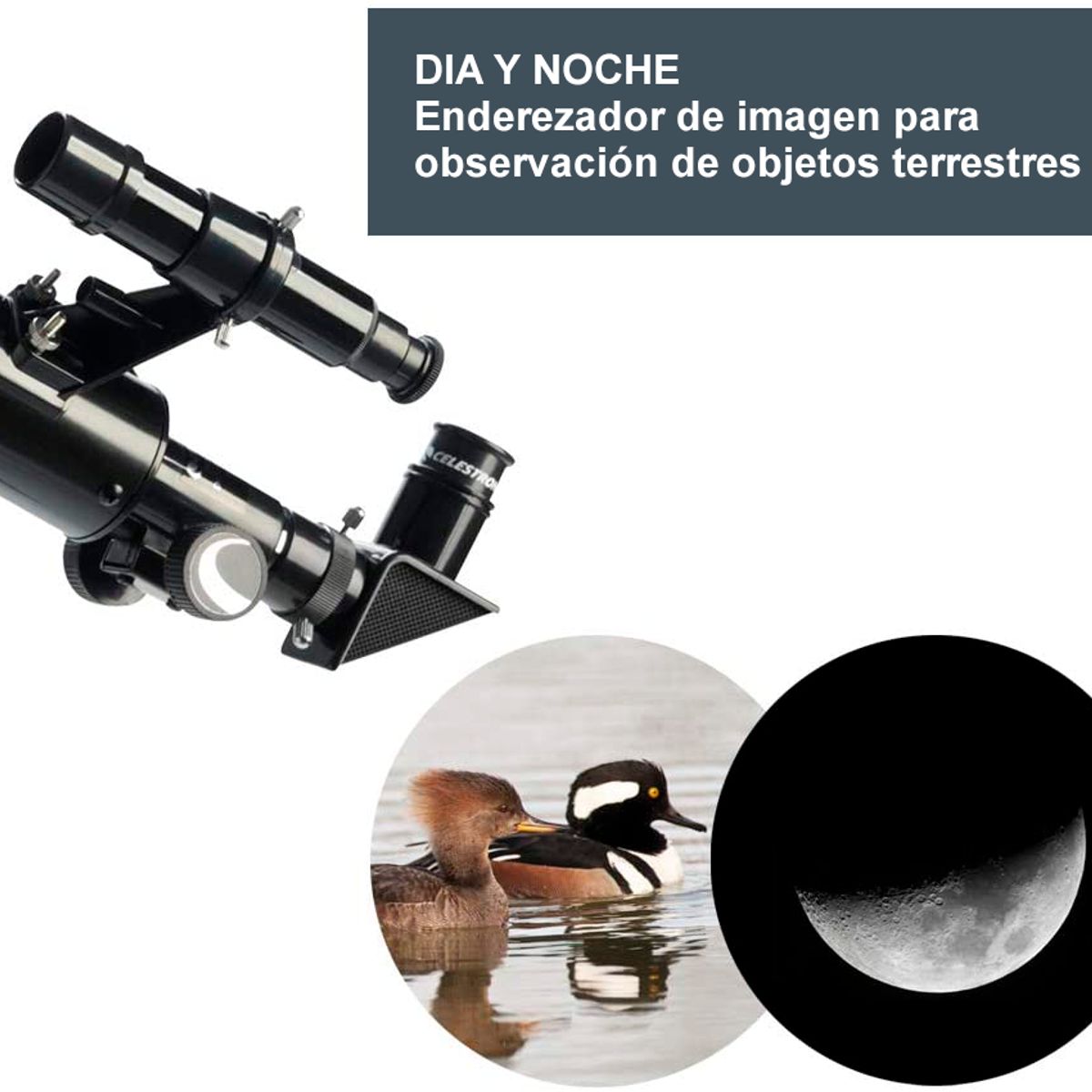 CELESTRON - Telescopio Celestron POwerseeker 50AZ 21039 D=50mm F=600mm 450X