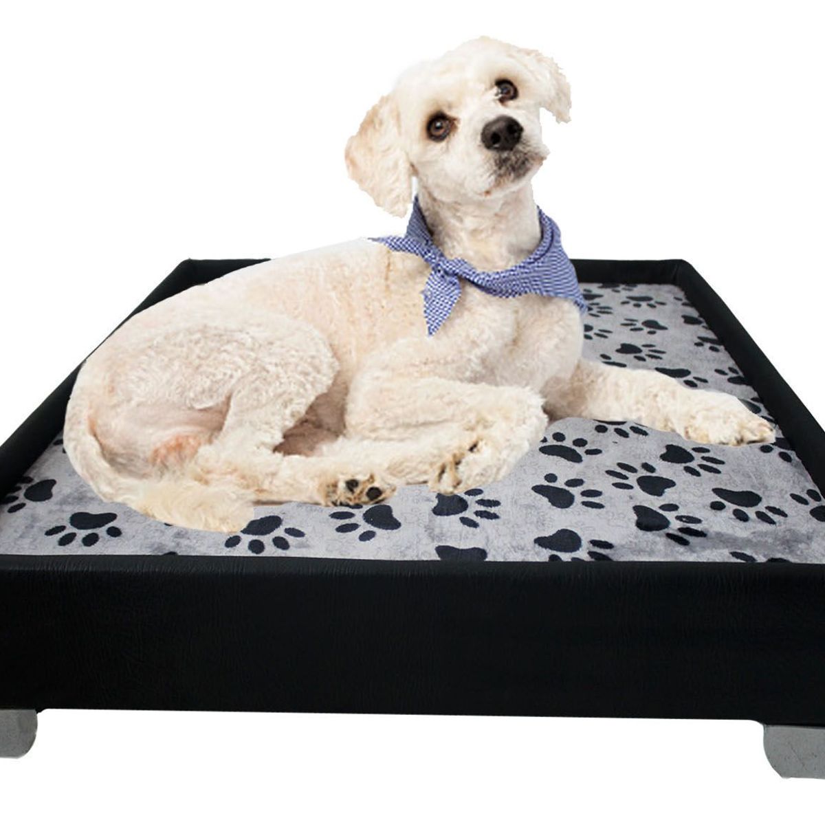 MAOS - BASE CAMA  ACOLCHADA PARA PERRO