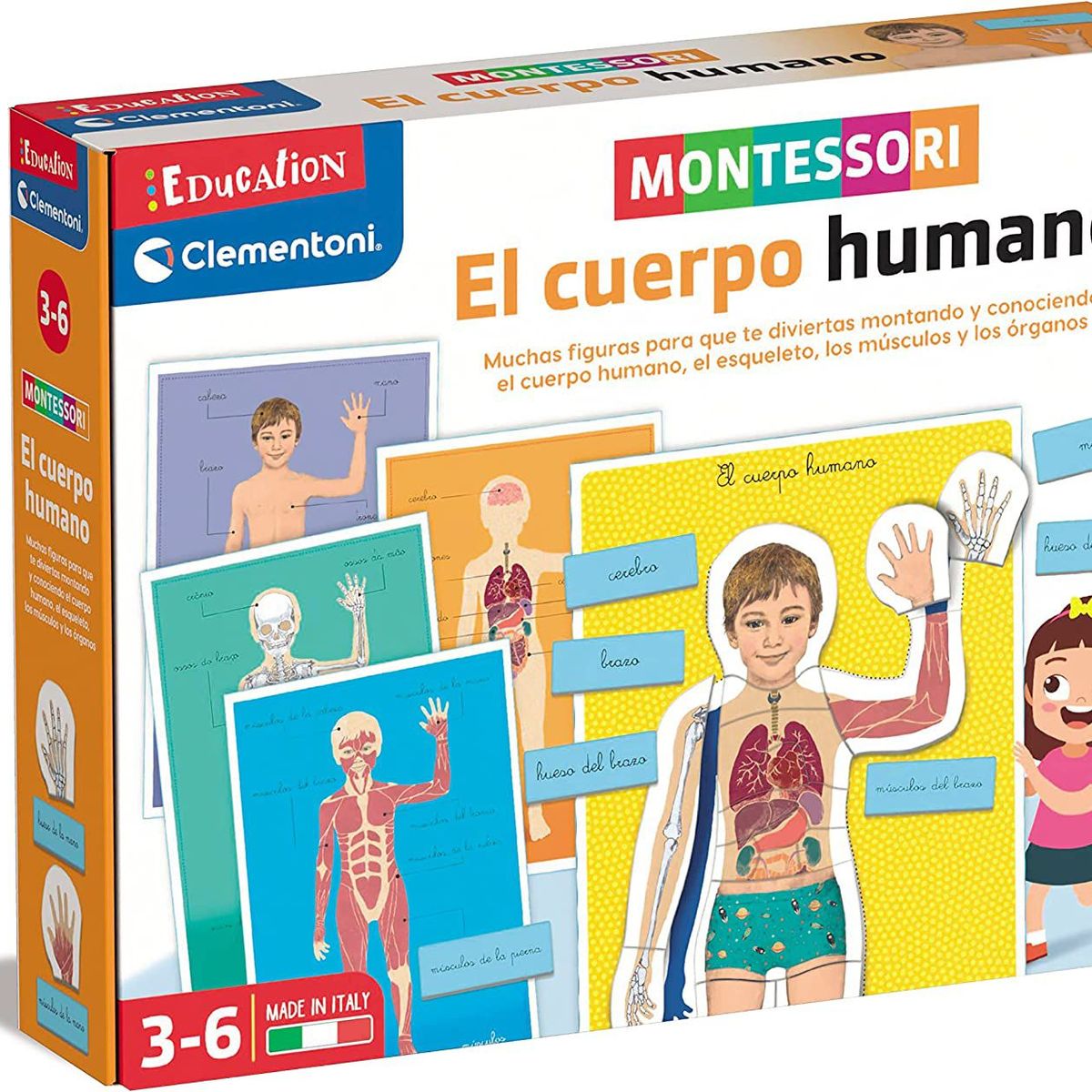 CLEMENTONI - Juego Didáctico Montessori Aprendiendo El Cuerpo Humano Niño