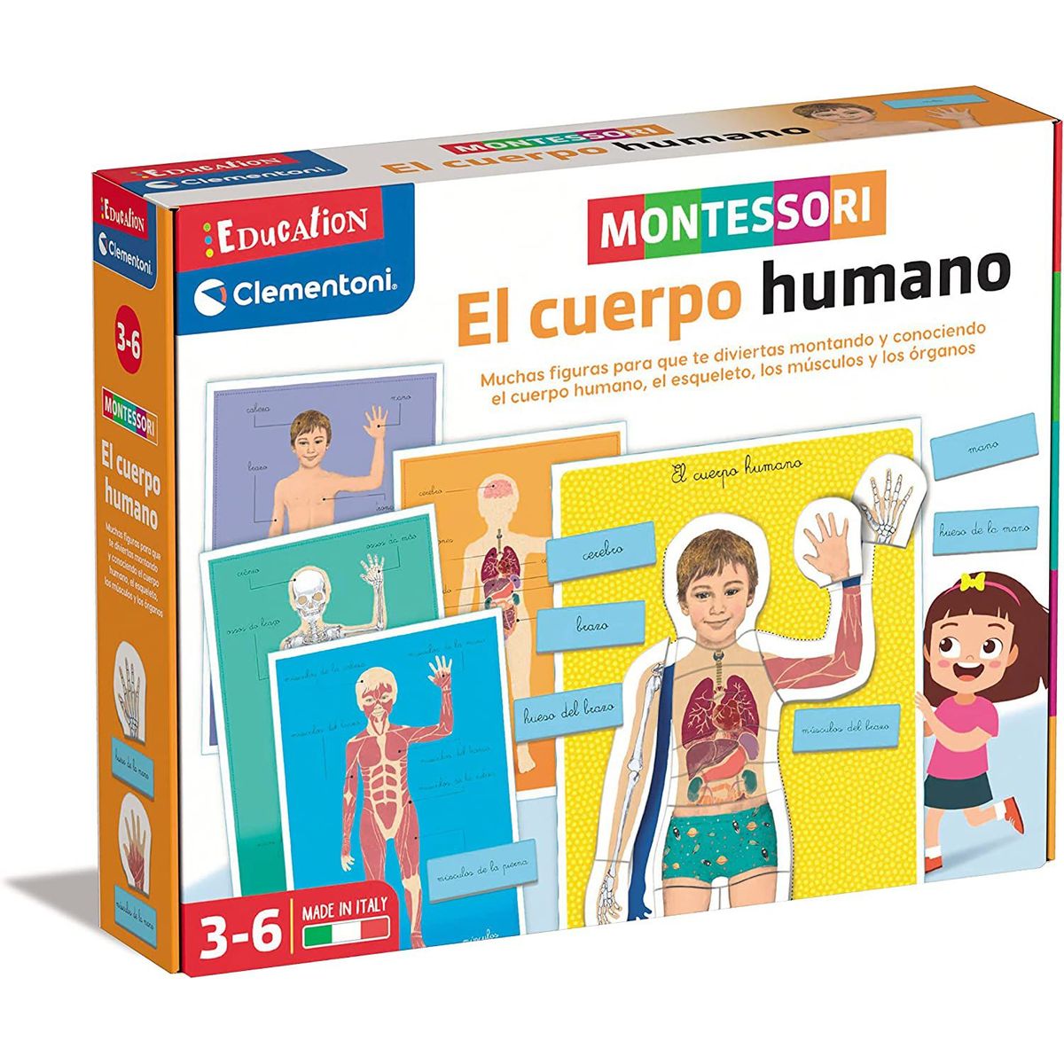 CLEMENTONI - Juego Didáctico Montessori Aprendiendo El Cuerpo Humano Niño