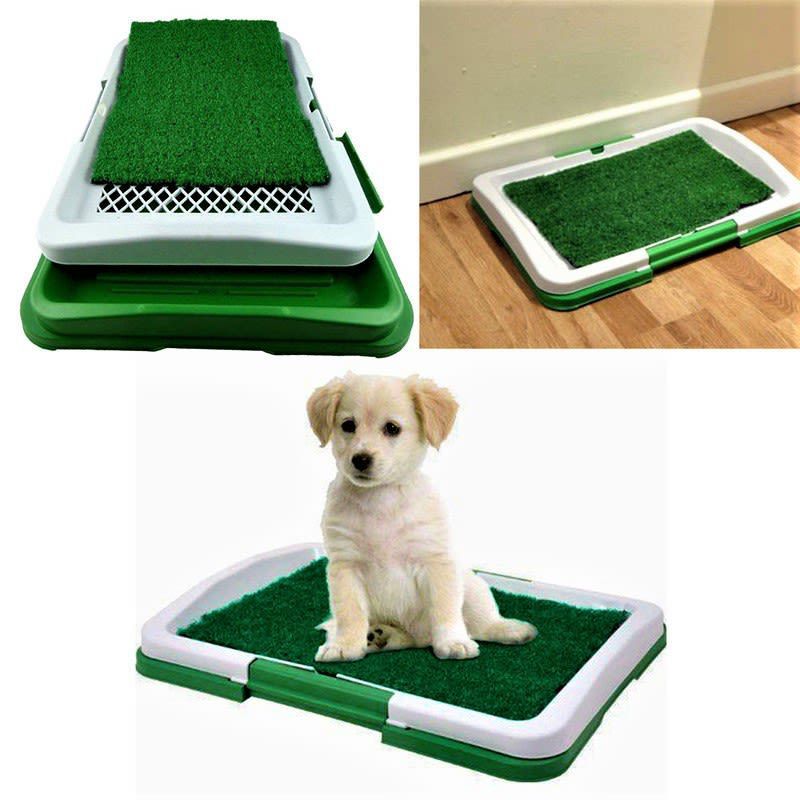 GENERICO - Tapete De Entrenamiento Perros Pequeños Baño Ecológico Nuevo