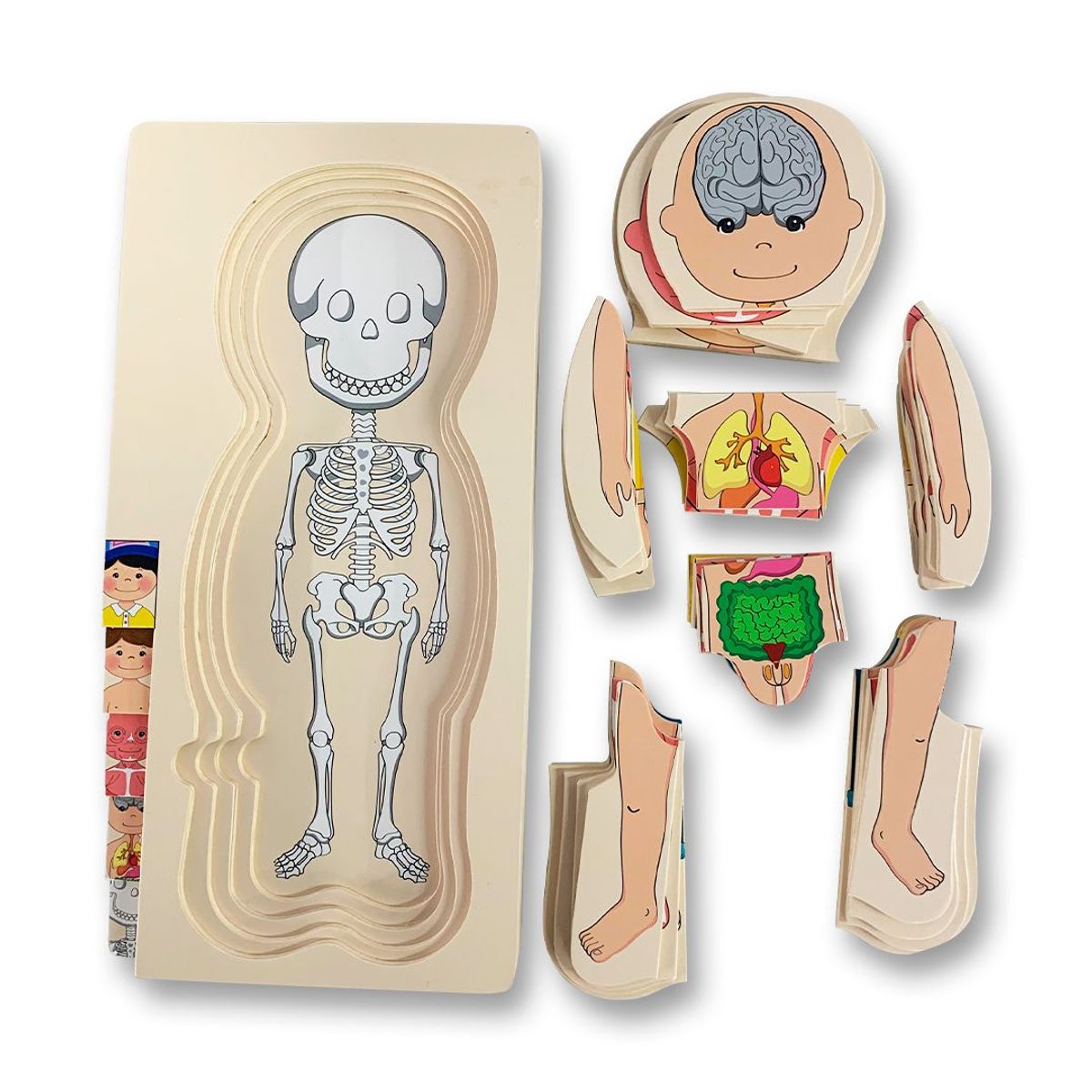 GENERAC - Rompecabezas Cuerpo Humano Didáctico Madera Niño.