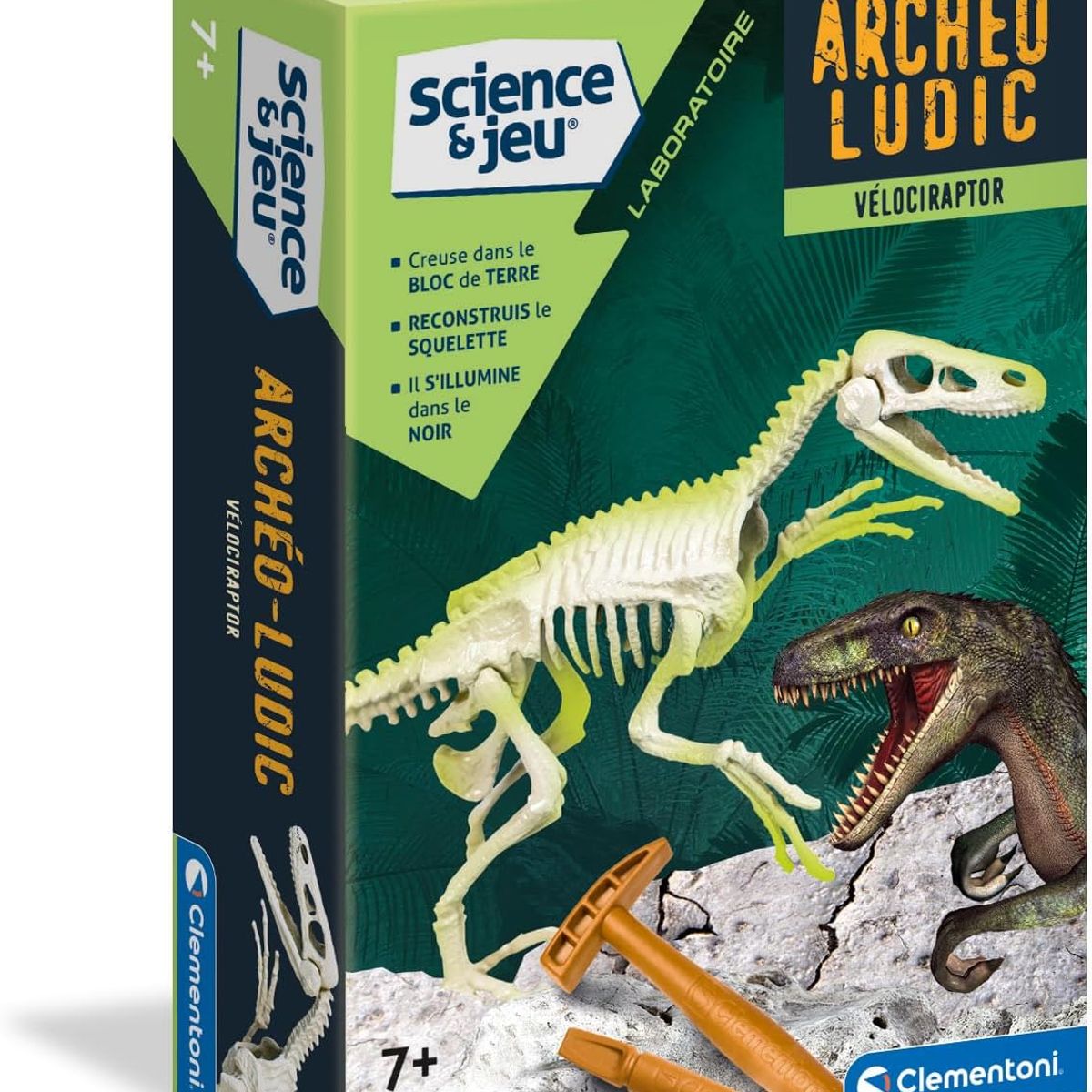 CLEMENTONI - Juguete Fósil De Esqueleto Dinosaurio Velociraptor Niños