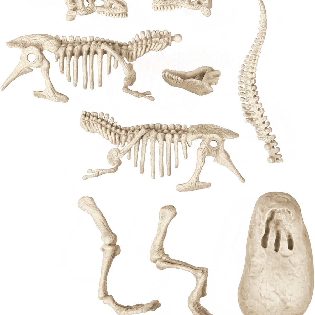 CLEMENTONI - Juguete Fósil De Esqueleto Dinosaurio Velociraptor Niños