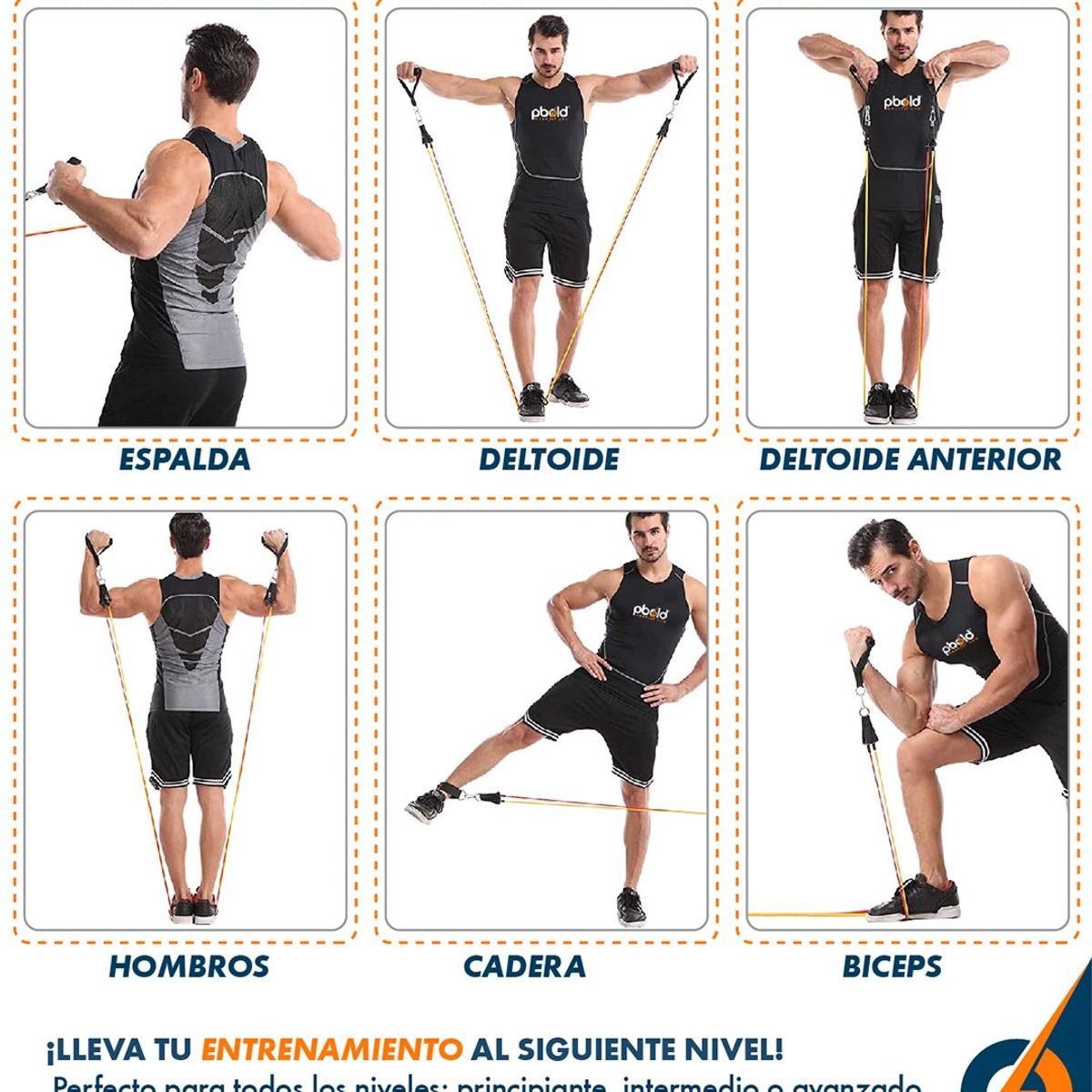 PBOLD - Bandas Tubulares Premium Pbold X6 Resistencias Ejercicio