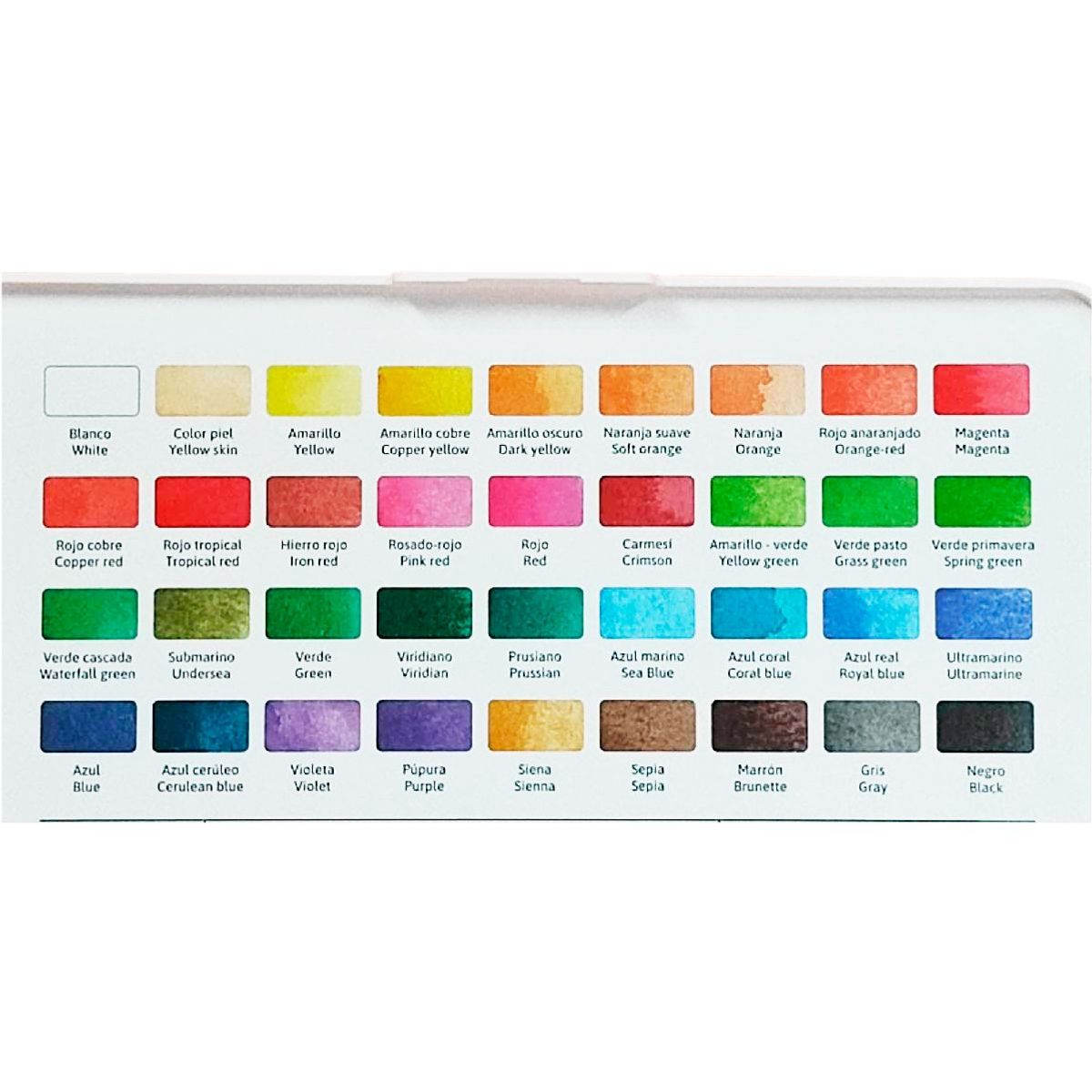 POINTER - Acuarela Pointer X36 Colores Pincel Esponja Bandeja