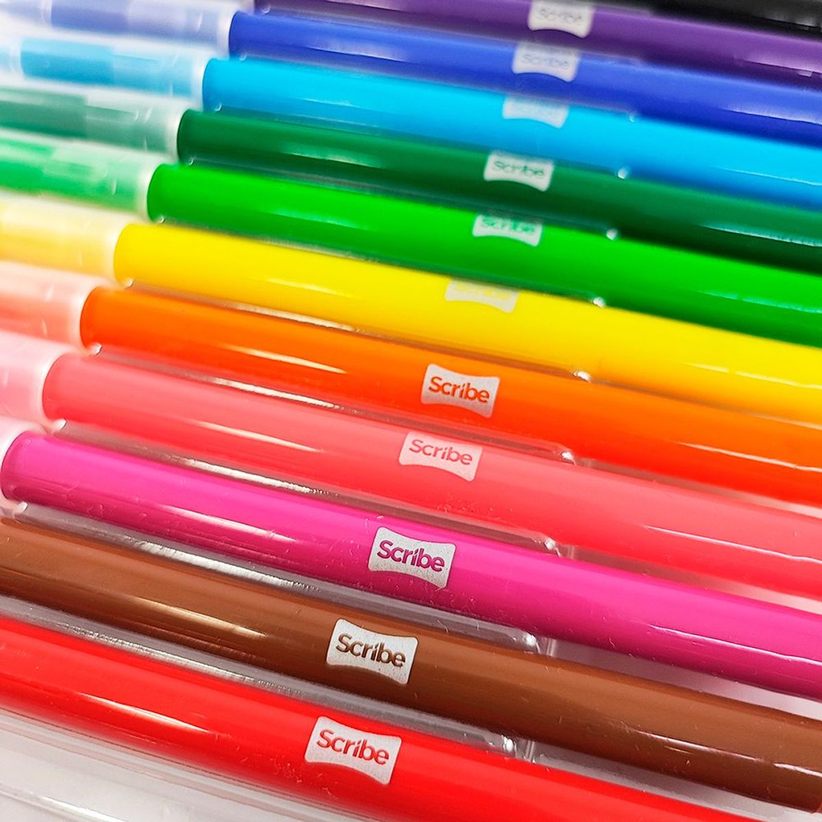 SCRIBE - Plumones Marcadores Scribe Punta Fina X12 Colores