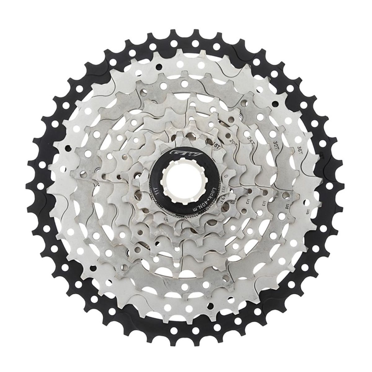 GW - Pacha Cassette Bicicleta Gw 8v 11-42 Compatible Con Shimano