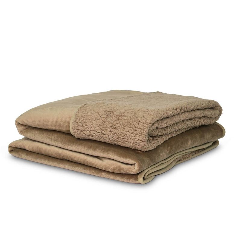 REALTEX - Cobija Doble Flannel - Borrego Koyo 200X220 cm Café