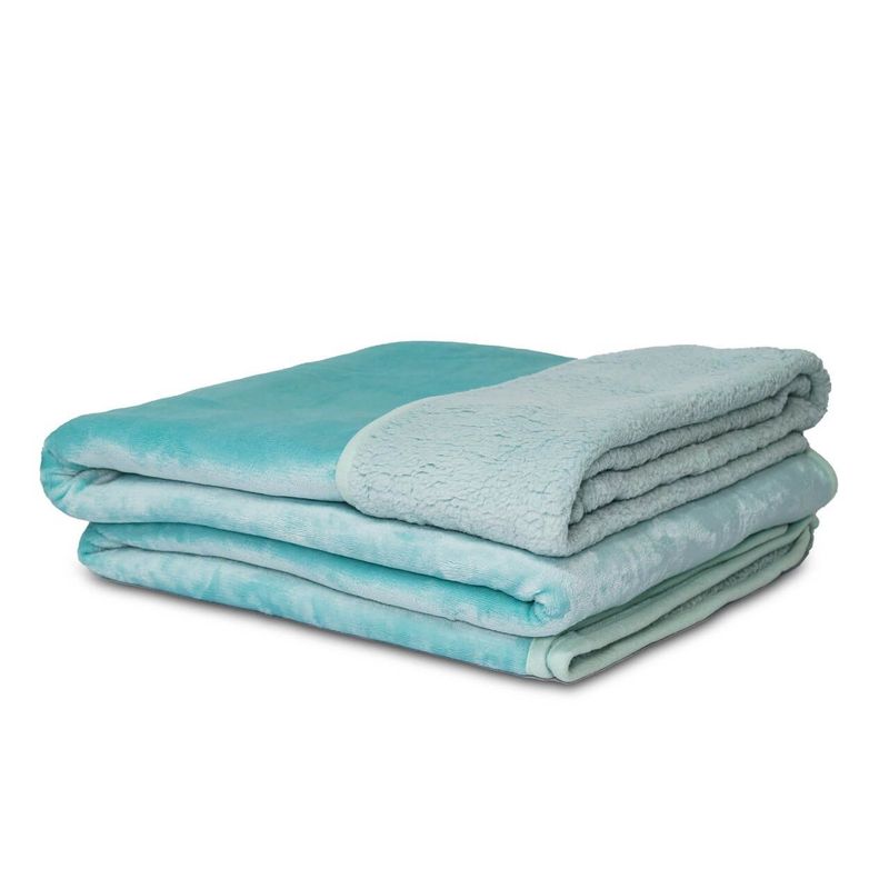 REALTEX - Cobija Doble Flannel - Borrego Koyo 200X220 cm Verde Menta