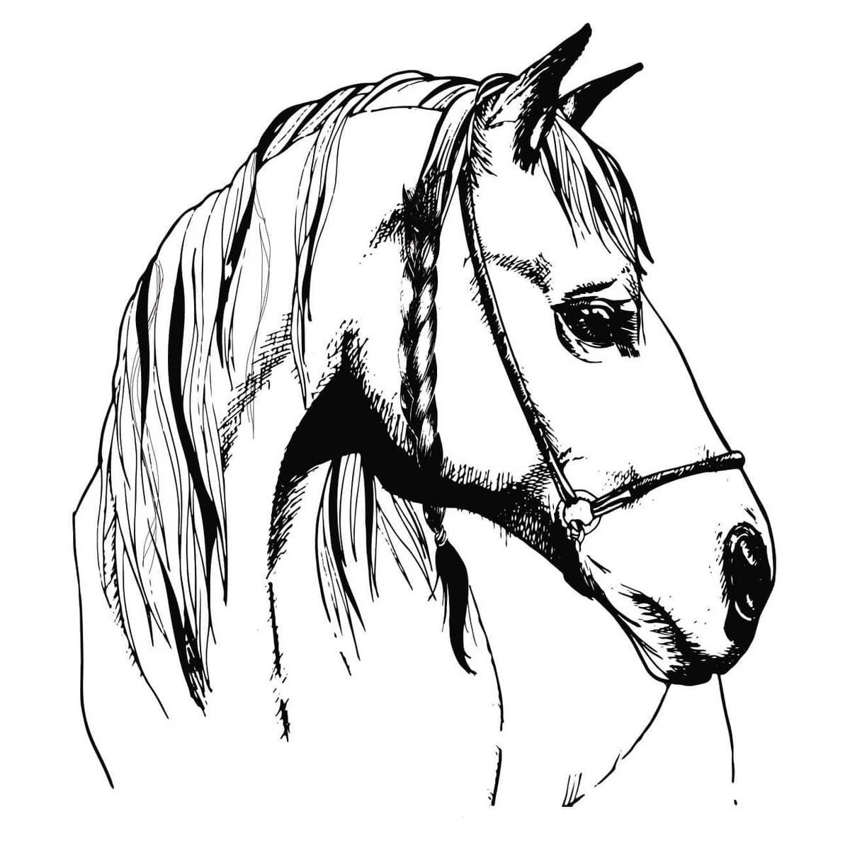 ADAZIO - Vinilo Decorativo de Caballo