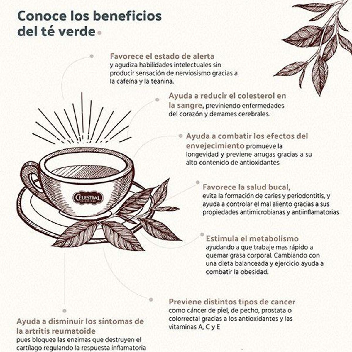 GENERICO - Promoción Te Ballerina Herbal Usa Invima x3