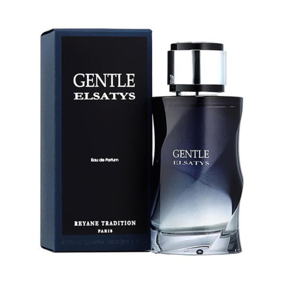 REYANE - Perfume Reyane Tradition Gentle Elsatys 100ml spr edp Homme