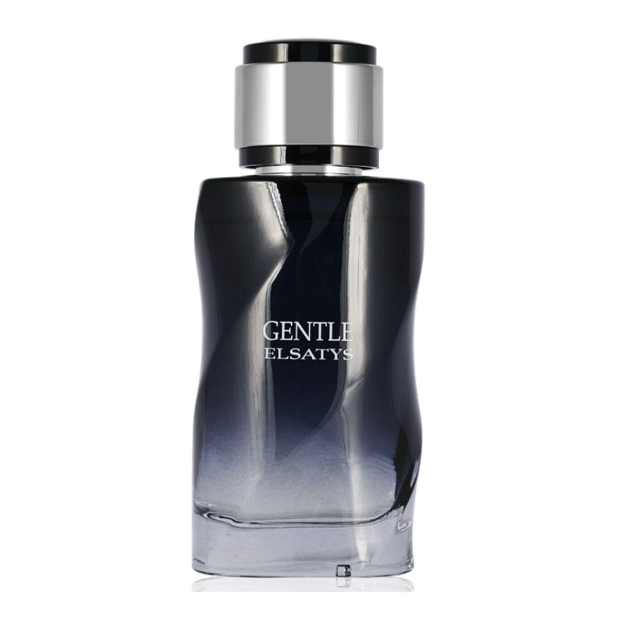 REYANE - Perfume Reyane Tradition Gentle Elsatys 100ml spr edp Homme