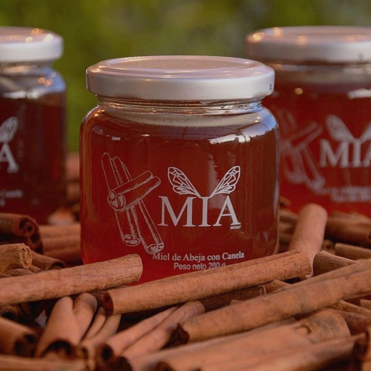 MIA - MIEL DE ABEJAS CON CANELA 280gr