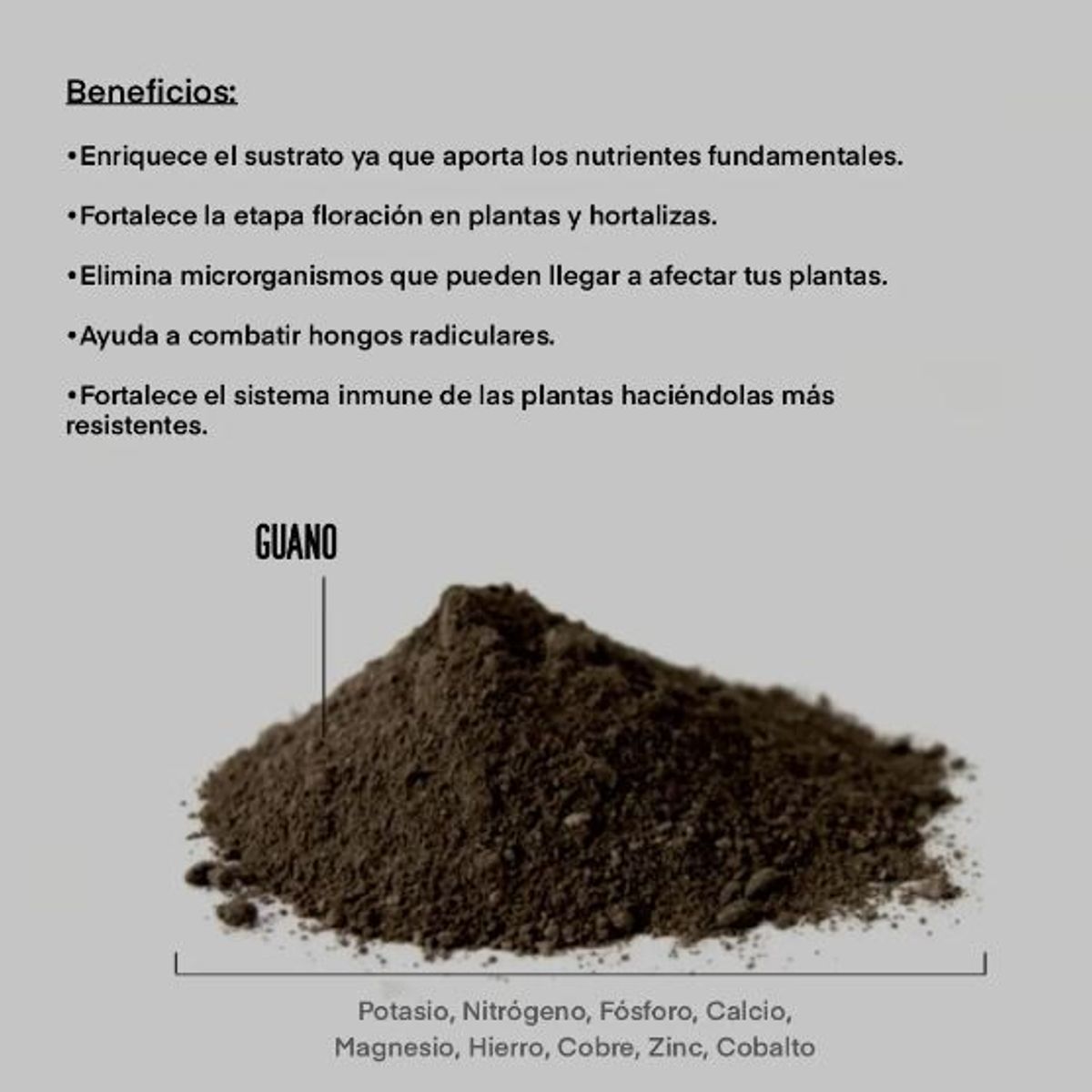 GENERICO - Sustrato Guano Excremento De Murciélagos 5 Kilo
