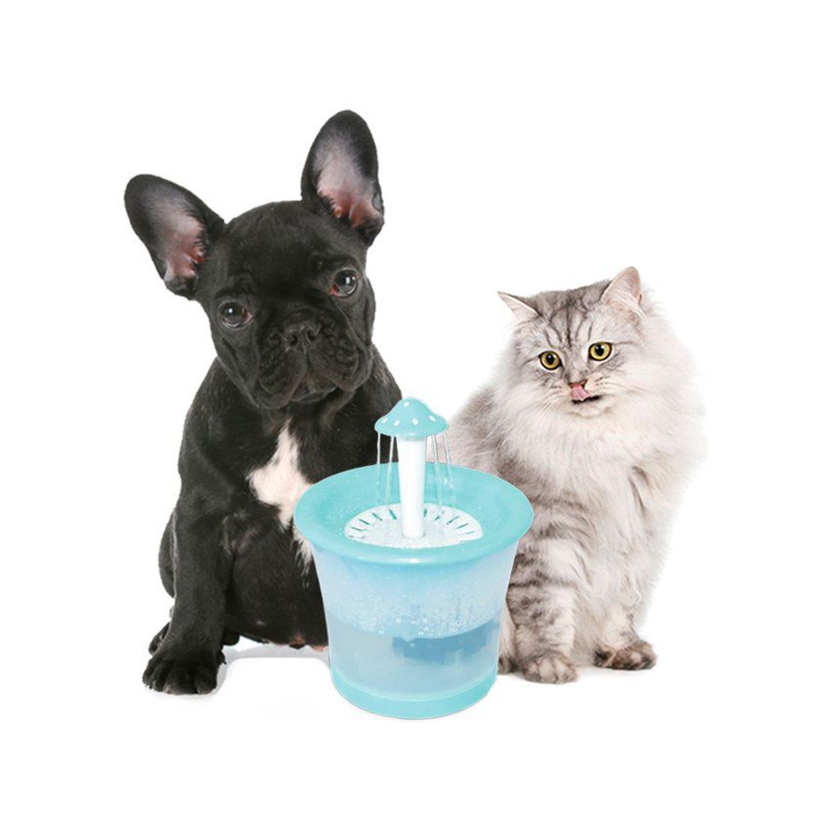 AM MASCOTAS - Fuente agua automática mascotas perro y gato
