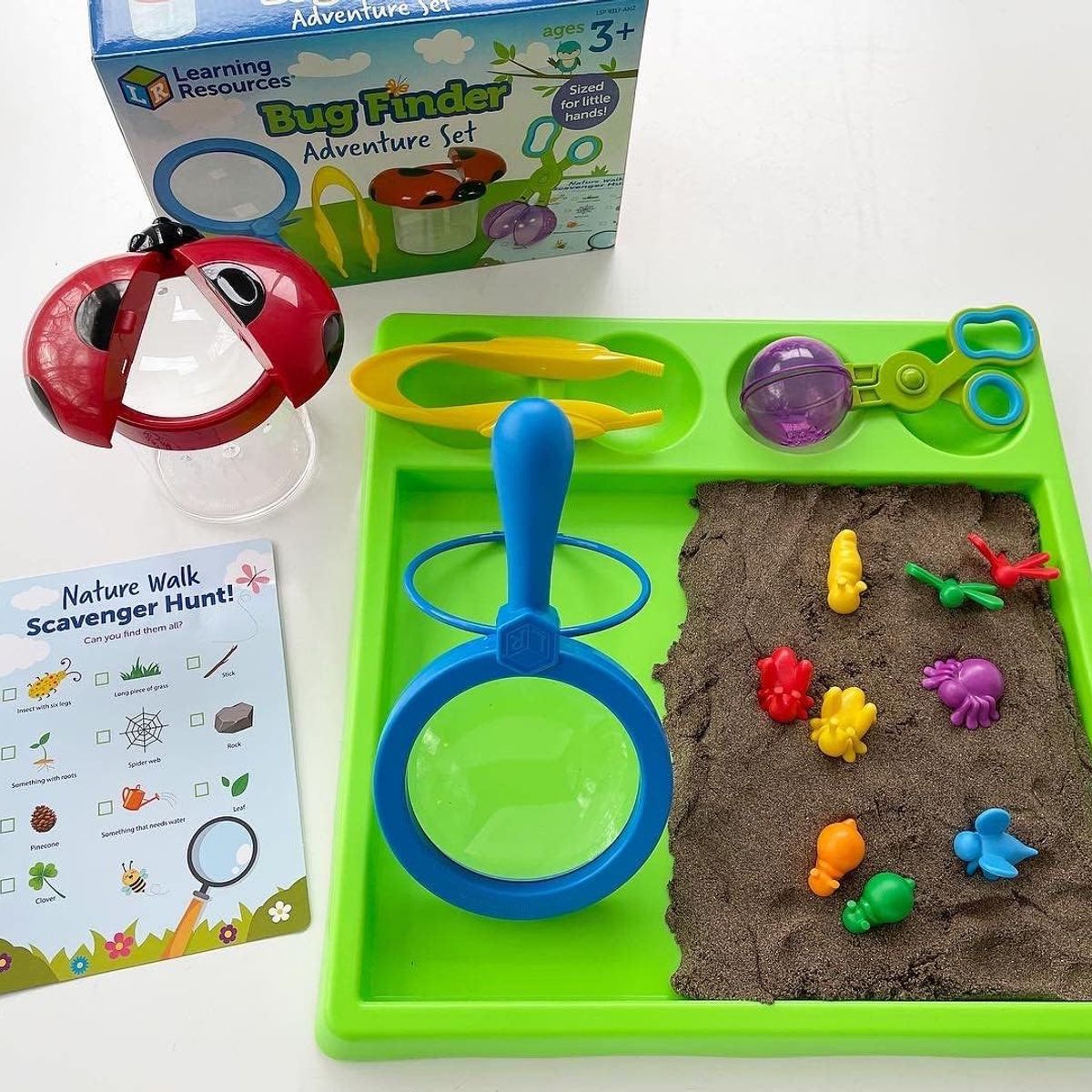 JUGANDO Y EDUCANDO - Set De Herramientas Buscando Insectos Para Niñas Y Niños