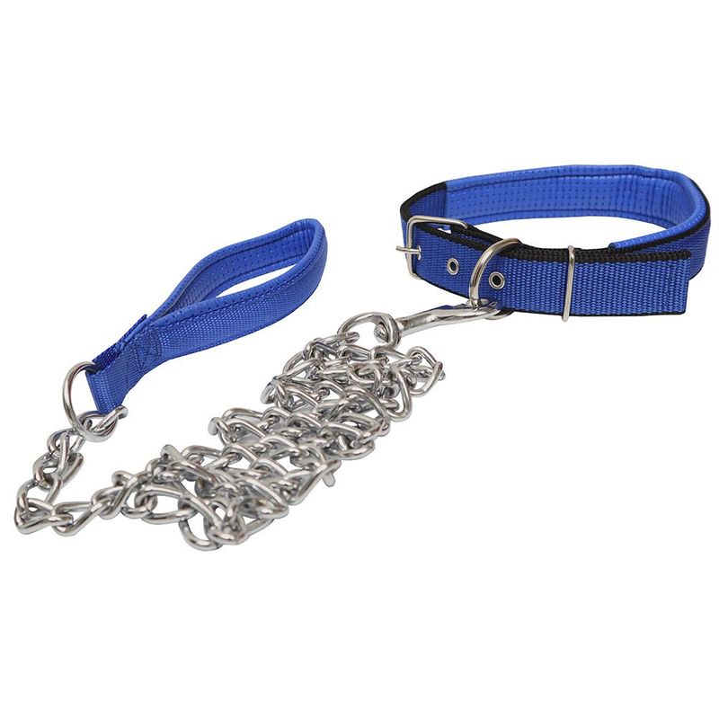 GENERICO - Correa Y Collar Para Mascotas