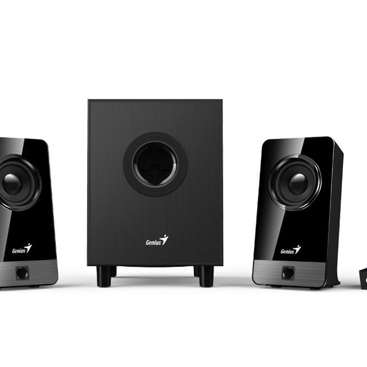 GENIUS - Parlante Genius Sw-21 300x Negro