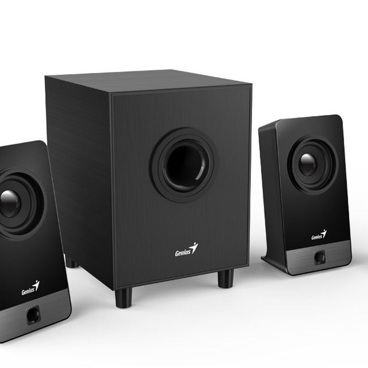 GENIUS - Parlante Genius Sw-21 300x Negro