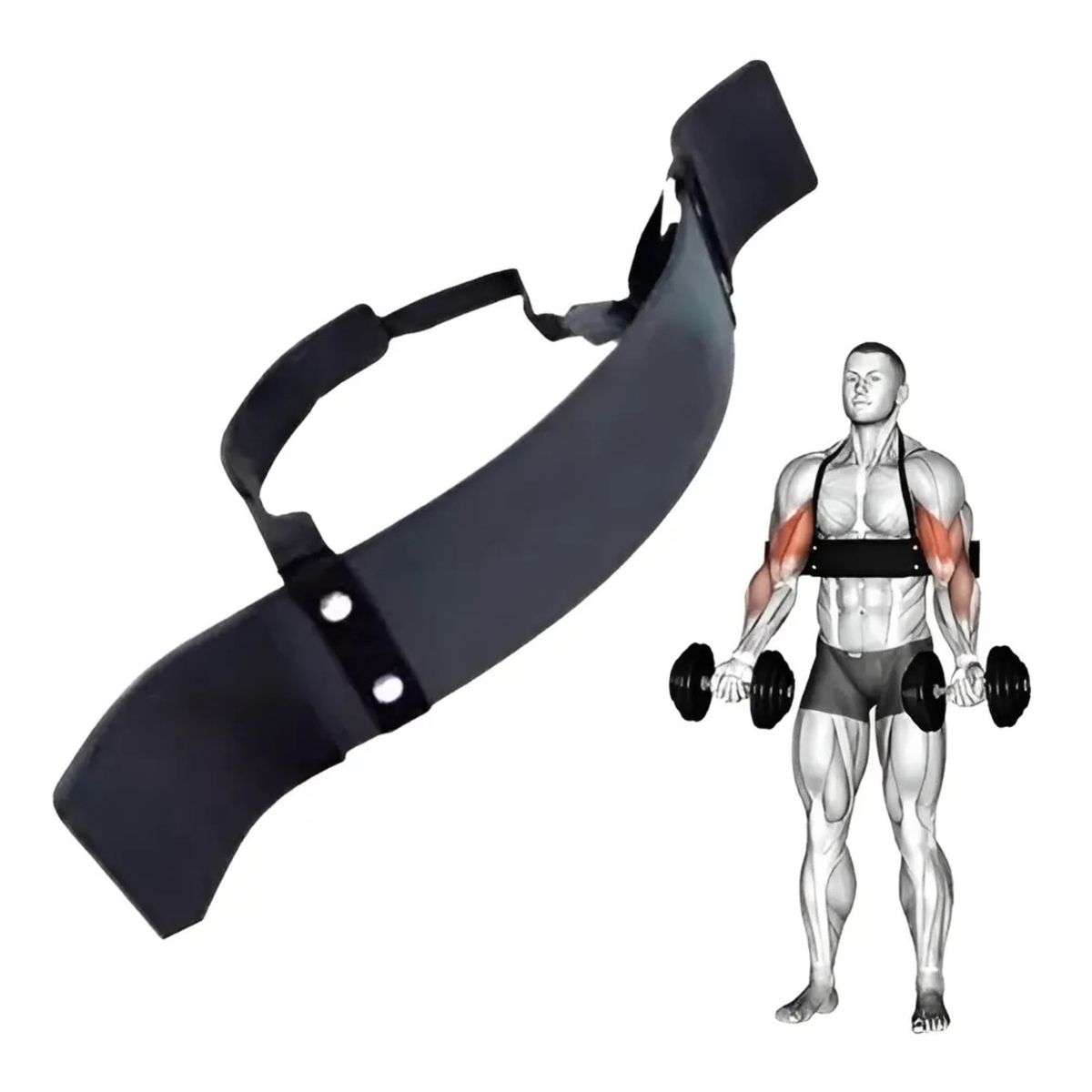 SPORT FITNESS - Soporte Para Trabajo De Bíceps