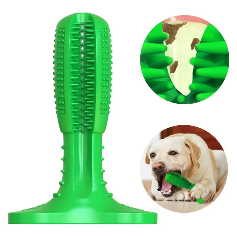 GENERICO - Cepillo de dientes perro