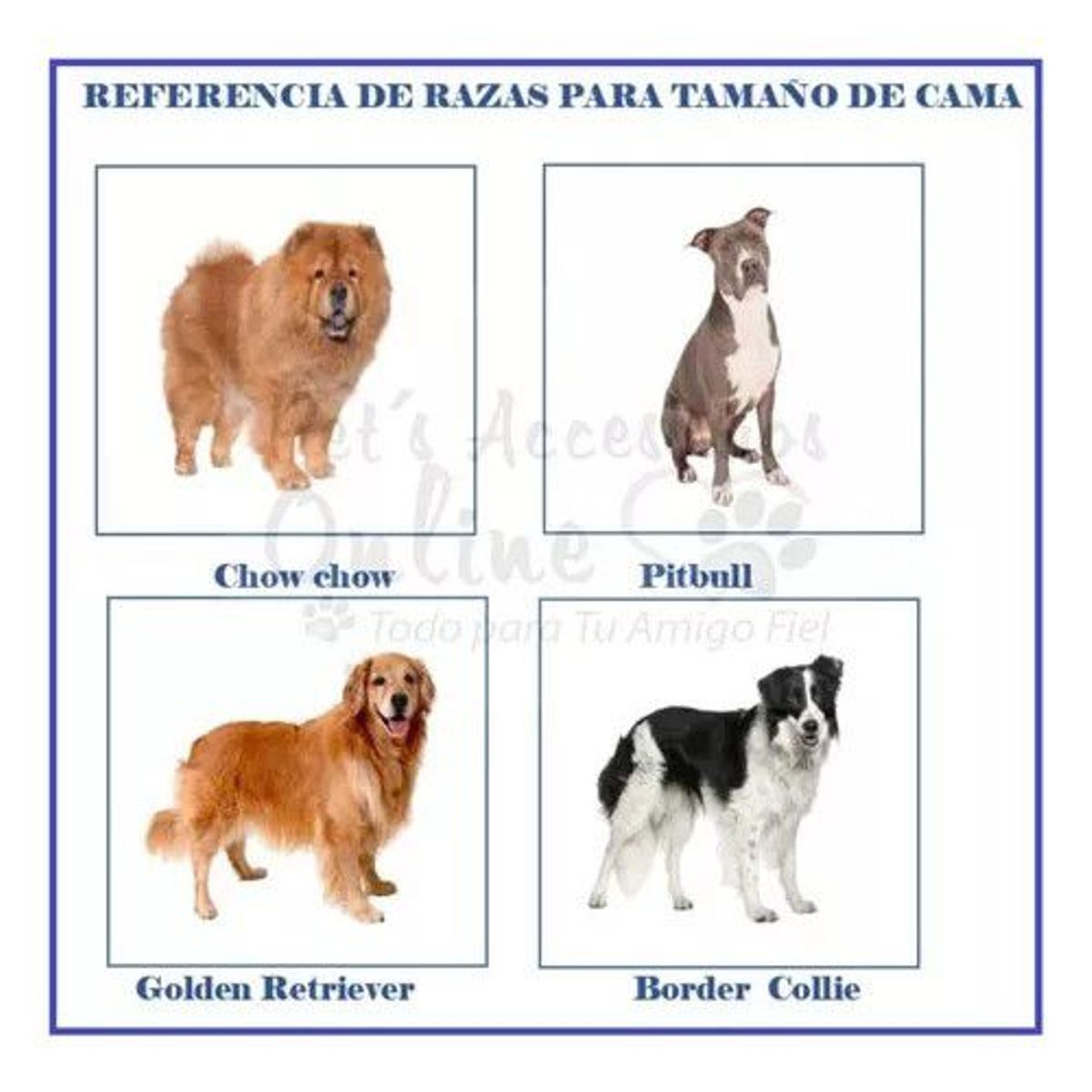 PETS ACCESORIOS - Capa Perro Impermeable Grande