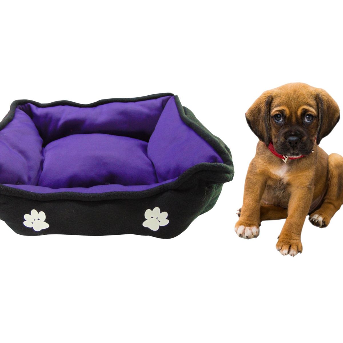 HALLY PET - Cama mediana doble faz para mascota Morado