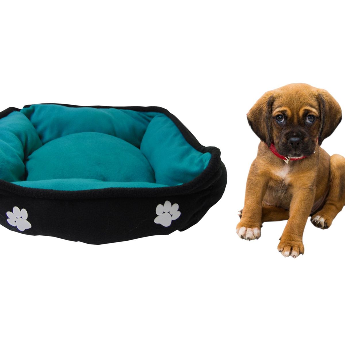 HALLY PET - Cama grande doble faz para mascota