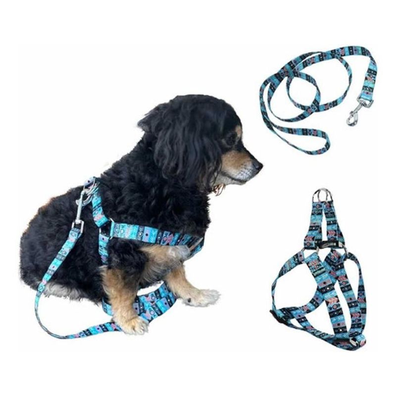 DIMATEX LEON - Arnés  Correa para Mascota Perros Ref Tribal TALLA XS