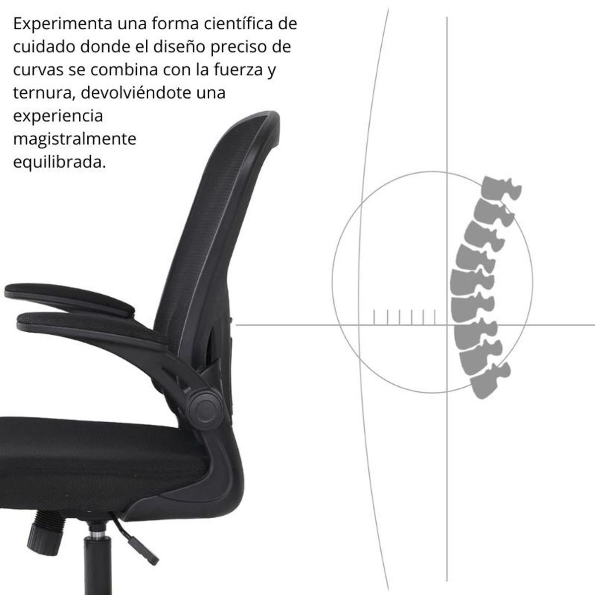 EKONOMODO COLOMBIA - Silla De Oficina Maxi Negro