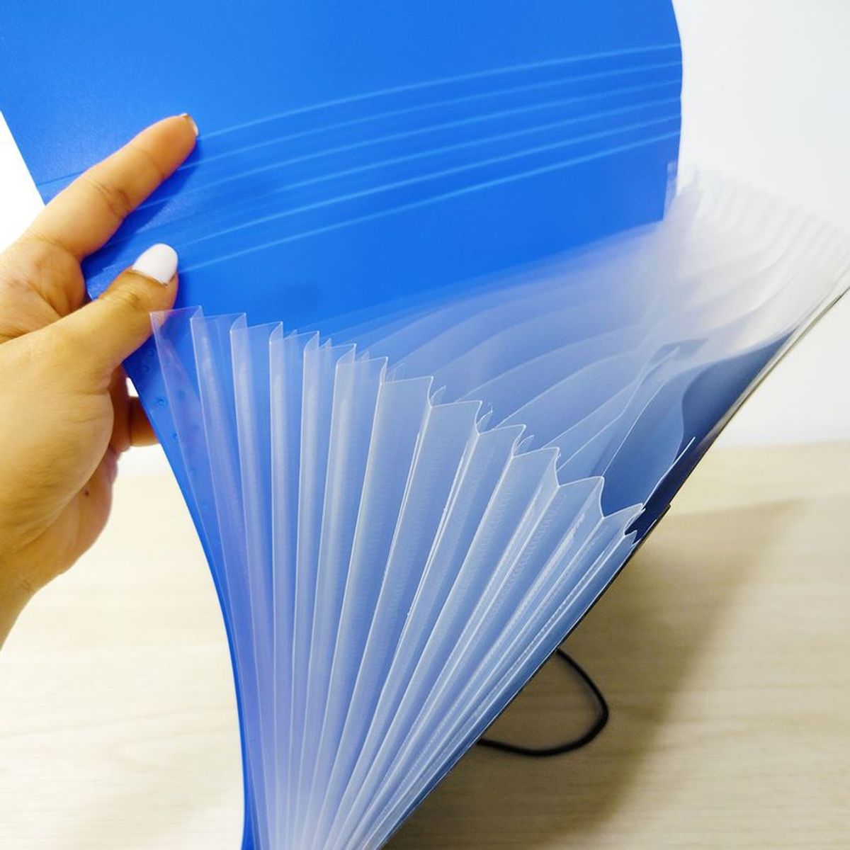 TRITON - Carpeta archivador de fuelle expandible x 12 bolsillos carta