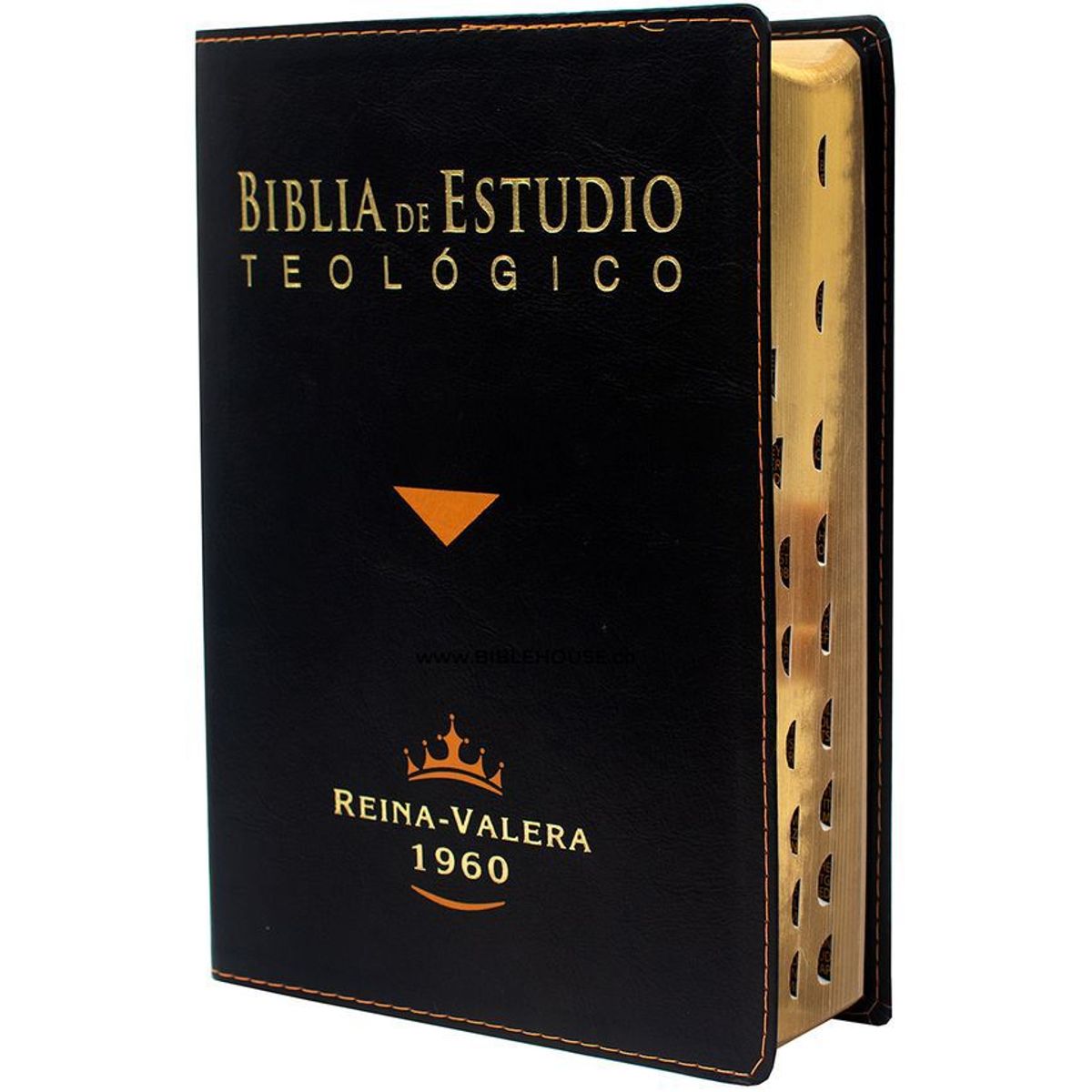 SBC - Biblia cristiana de estudio teológico reina valera 1960