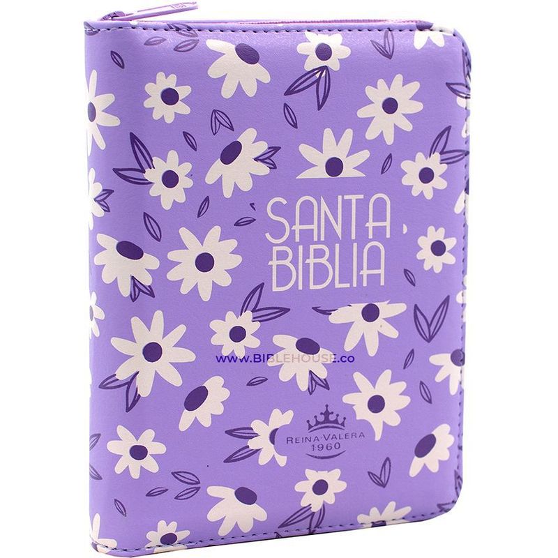SBC - Biblia reina valera 1960 flexible - lila con forro (mediana)