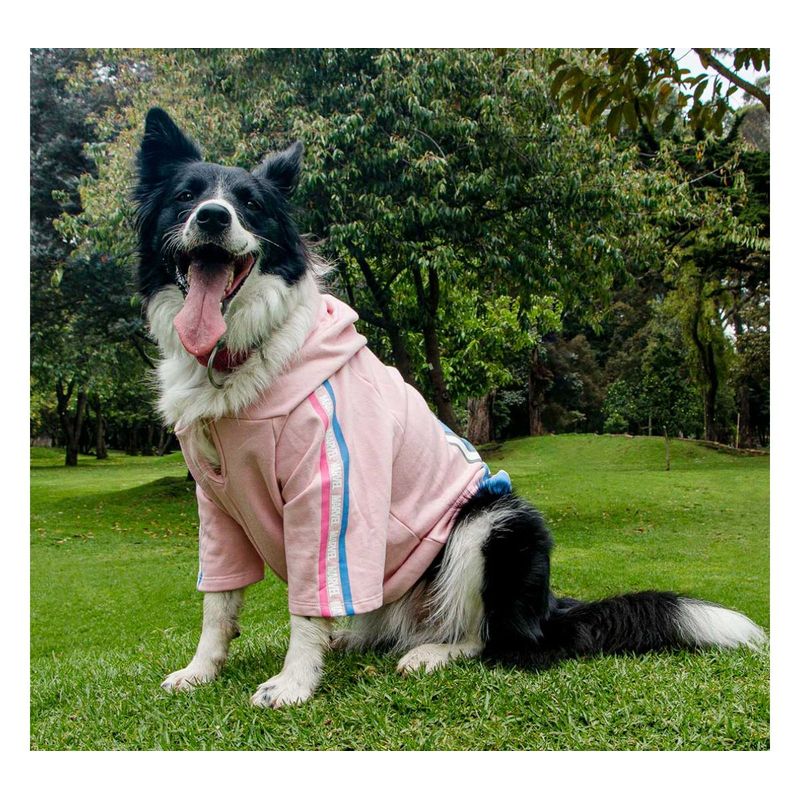 MARVEL - Buso con Capota para Mascota MARVEL Capitana América T-XS