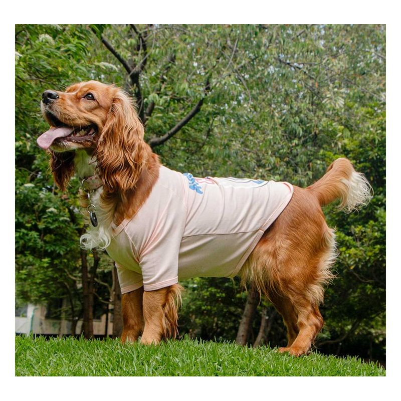 MARVEL - Camiseta para Mascota Avengers Hero Rosado Talla XL