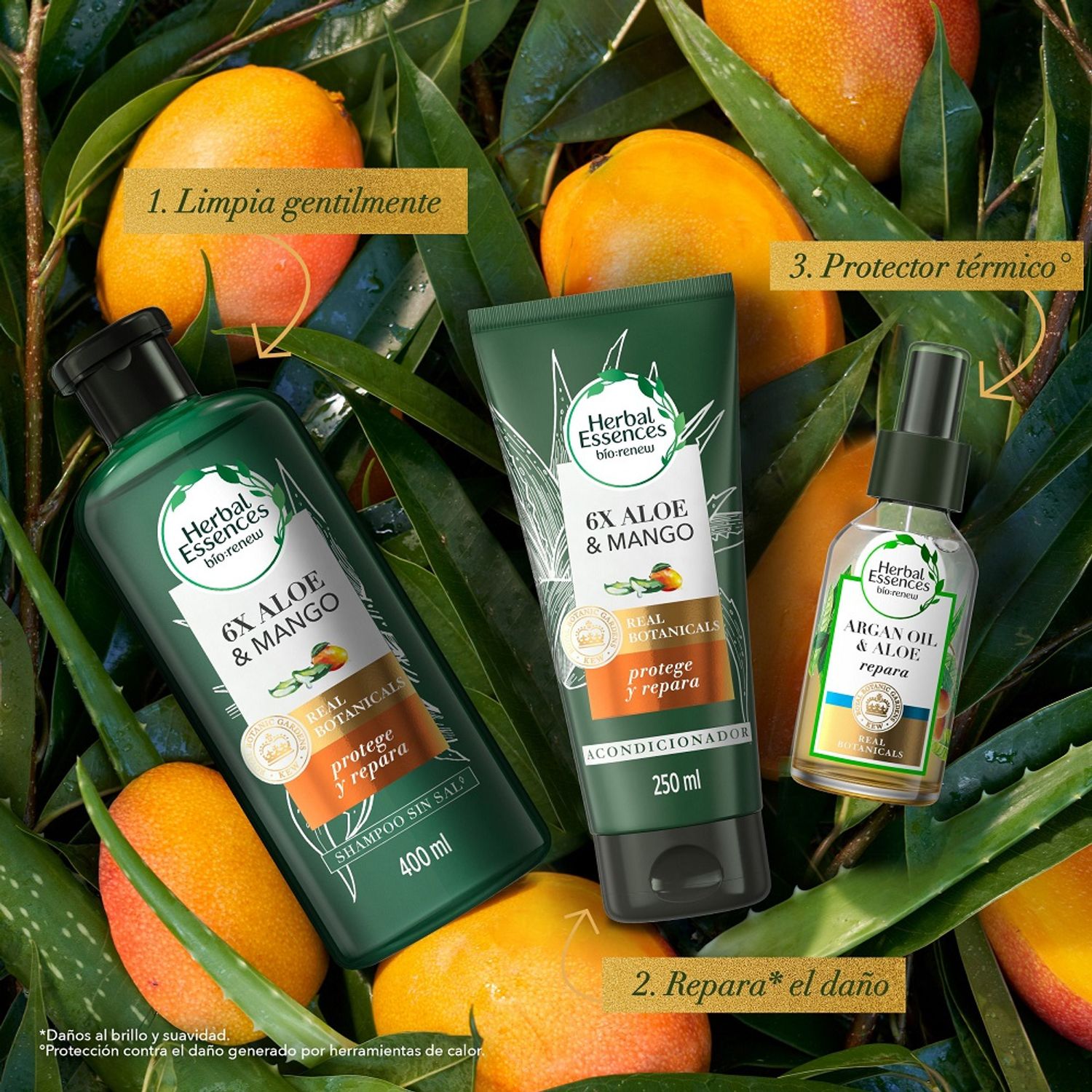 aloe vera shampoo amazon Aloe Vera Shampoo (16 fl oz) main image 0