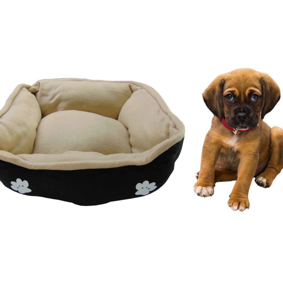 HALLY PET - Cama grande doble faz para mascota