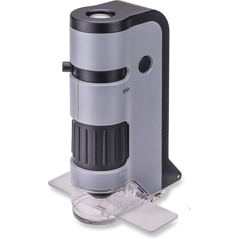 GENERICO - Microscopio Bolsillo Portátil Carson Microflip 100-250x Lupa