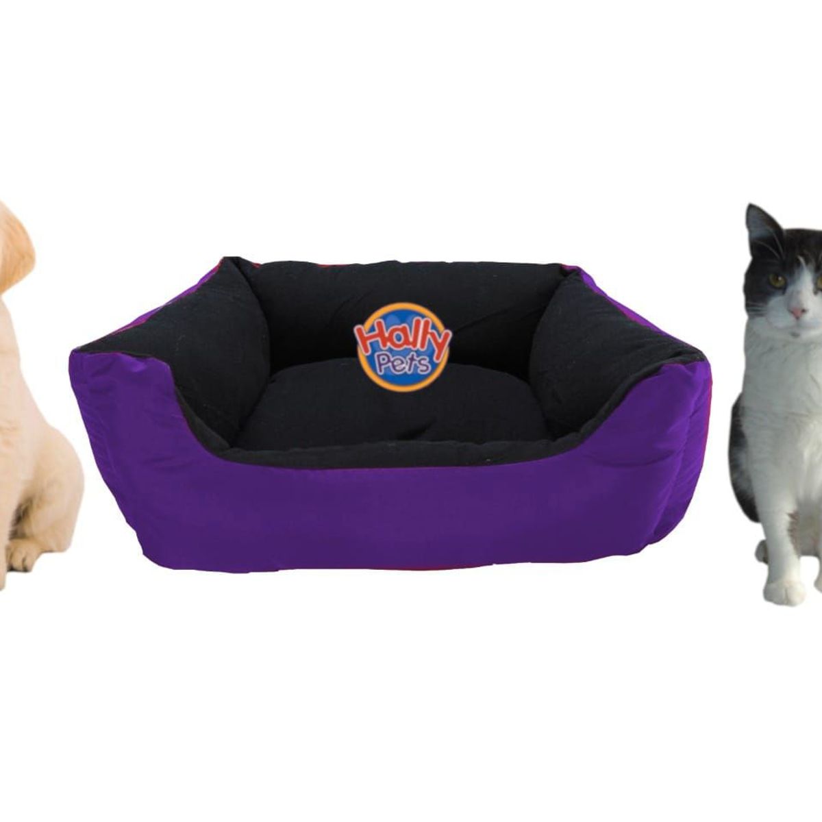 HALLY PET - Cama Grande Con Cojín Lavable impermeable Morado